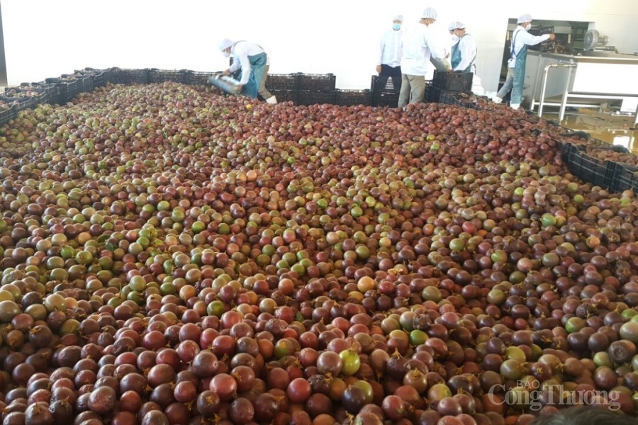 Gia Lai: Tận dụng tốt EVFTA, xuất khẩu tăng trưởng ấn tượng