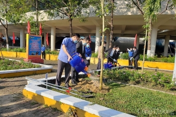 Đà Nẵng: Phát động Tết trồng cây đời đời nhớ ơn Bác Hồ