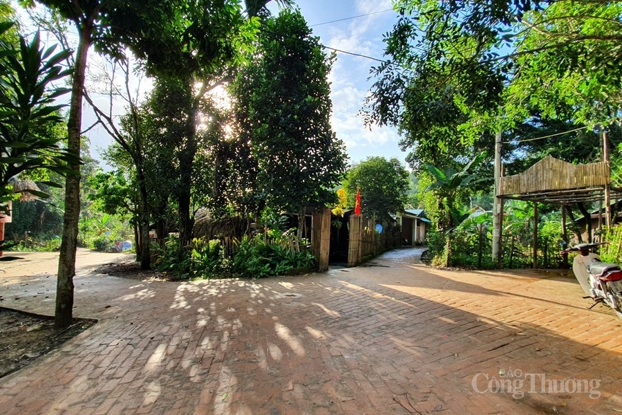 Tết của người Cơ Tu Tết của người Cơ Tu