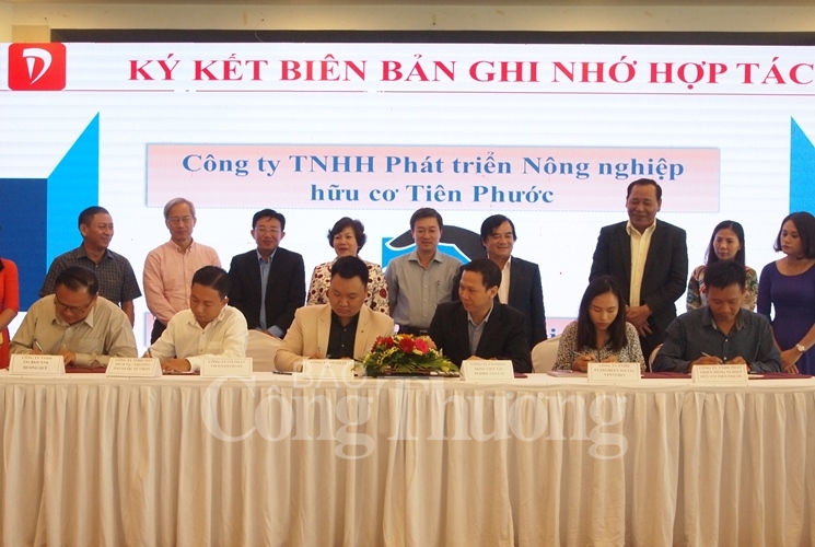 Thương mại điện tử giúp doanh nghiệp định vị thương hiệu trong kỷ nguyên số thuong mai dien tu giup doanh nghiep dinh vi thuong hieu trong ky nguyen so