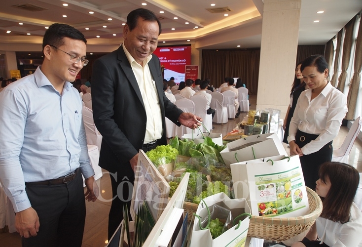 Thương mại điện tử giúp doanh nghiệp định vị thương hiệu trong kỷ nguyên số thuong mai dien tu giup doanh nghiep dinh vi thuong hieu trong ky nguyen so