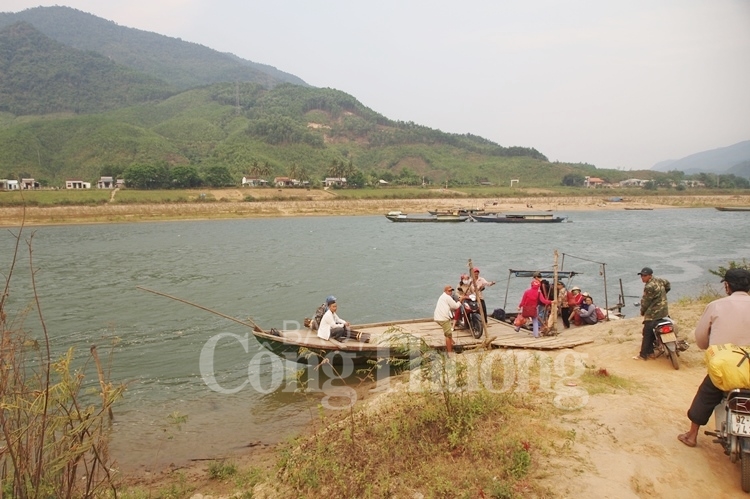 “Khó chồng khó” tại vùng dứa Quảng Nam kho chong kho tai vung dua quang nam