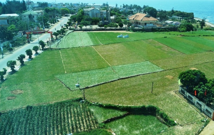 Quảng Ngãi: Huyện đảo Lý Sơn không còn chính quyền cấp xã quang ngai huyen dao ly son khong con chinh quyen cap xa