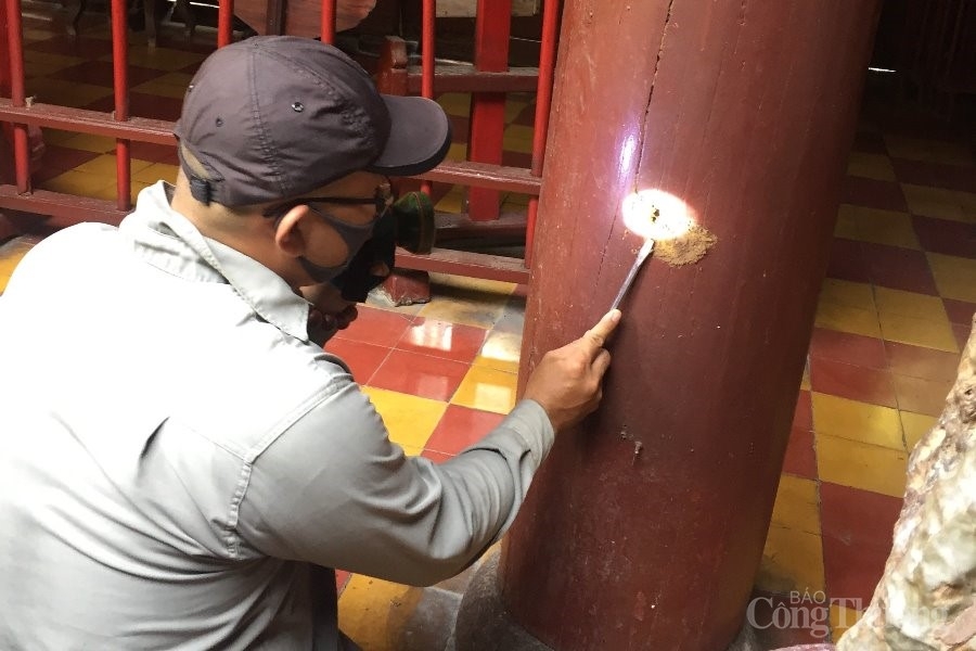 Hội An: Bảo vệ di tích trước nguy cơ bị xuống cấp do mối mọt