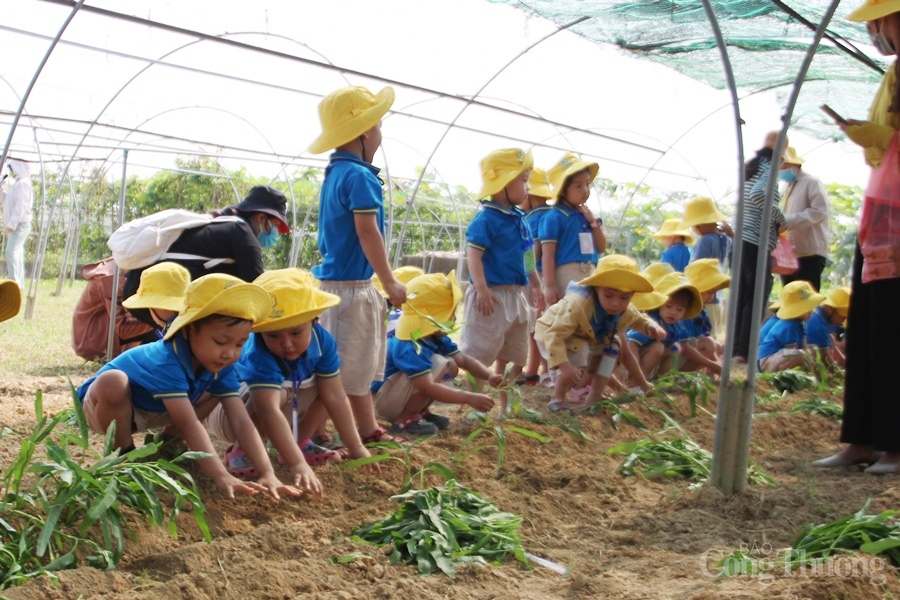 Đà Nẵng: Thúc đẩy nông nghiệp công nghệ cao gắn với du lịch trải nghiệm Đà Nẵng: Thúc đẩy nông nghiệp công nghệ cao gắn với du lịch trải nghiệm