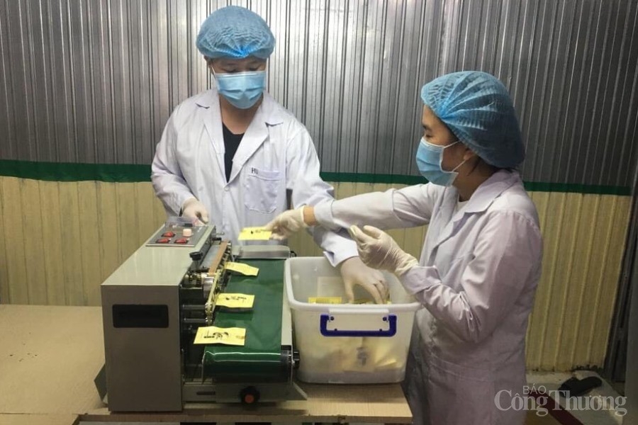 Ước mơ về thương hiệu “trà hoa nấm” – quà đặc sản Đà Nẵng