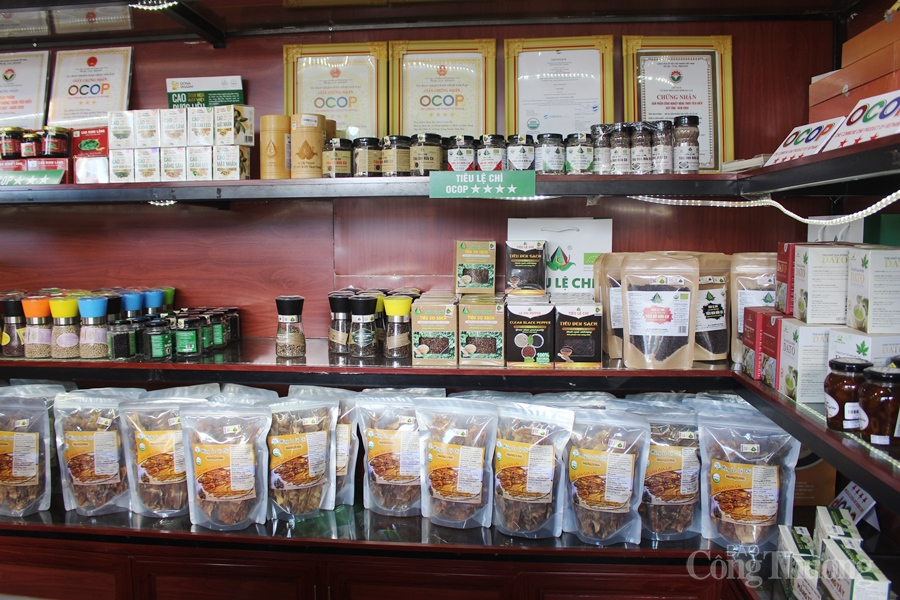 Gia Lai: Các đề án khuyến công tạo động lực quan trọng phát triển công nghiệp