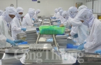 Quảng Nam: Hỗ trợ kiến thức phòng vệ thương mại cho doanh nghiệp