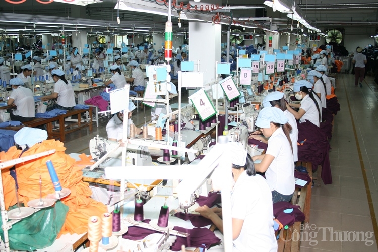 Đà Nẵng: Nhiều doanh nghiệp xuất khẩu “sống tốt” nhờ chủ động thích ứng da nang nhieu doanh nghiep xuat khau song tot nho chu dong thich ung