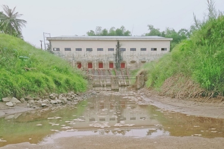 Thủy điện kiệt nước, Quảng Nam đối mặt với hạn hán, nhiễm mặn nặng thuy dien kiet nuoc quang nam doi mat voi han han nhiem man nang