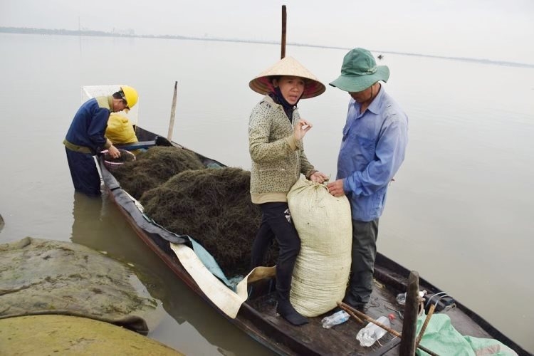 bai ca lao dong cua nhung nguoi dam minh duoi nuoc vot rong cau muu sinh