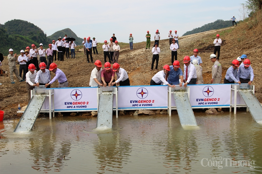 Thủy điện A Vương: Trồng mới và chăm sóc 5.000 cây xanh giai đoạn 2021 – 2025 Thủy điện A Vương: Trồng mới và chăm sóc 5.000 cây xanh giai đoạn 2021 – 2025