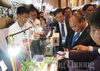 Techfest Quảng Nam 2019 - 