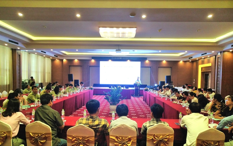 quang nam ho tro kien thuc phong ve thuong mai cho doanh nghiep