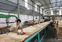 Đà Nẵng: Nỗ lực khôi phục kinh tế