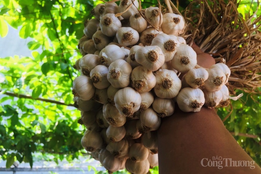 trong theo phuong phap huu co se gia tang gia tri cho thuong hieu toi ly son