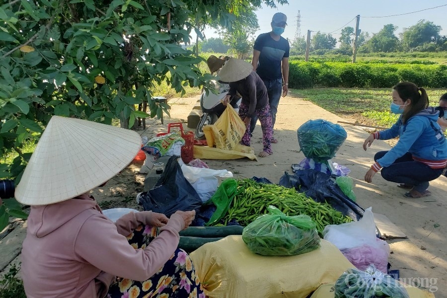Đà Nẵng: Chống dịch Covid – 19 và phát triển kinh tế, nhìn từ hậu phương Đà Nẵng: Chống dịch Covid – 19 và phát triển kinh tế, nhìn từ hậu phương