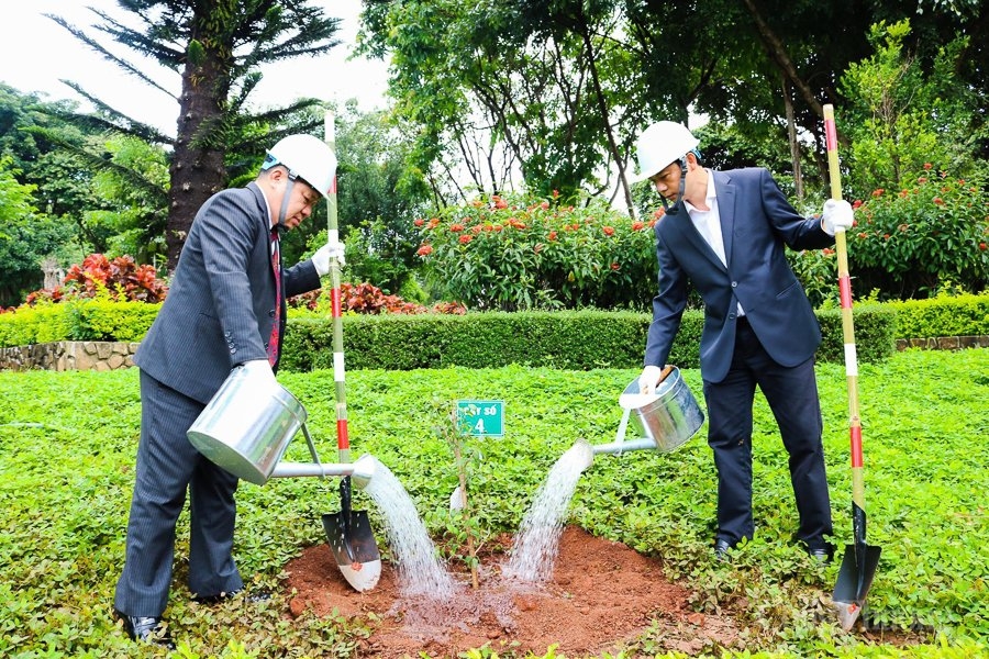 Chờ hoa anh đào Nhật Bản nở trên đất Gia Lai Chờ hoa anh đào Nhật Bản nở trên đất Gia Lai