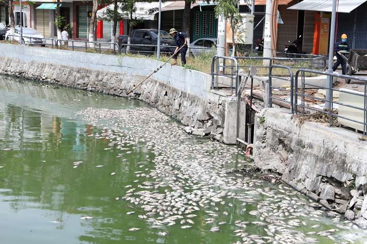 Mất cân bằng giữa kinh tế - xã hội – môi trường đe dọa mục tiêu phát triển bền vững mat can bang giua kinh te xa hoi moi truong de doa muc tieu phat trien ben vung
