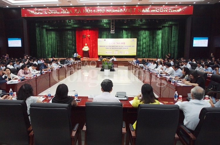 tim giai phap khai thac co hieu qua nguon duoc lieu tay nguyen va nam trung bo