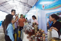 Ứng dụng khoa học công nghệ để phát triển bền vững Quốc bảo Sâm Ngọc Linh