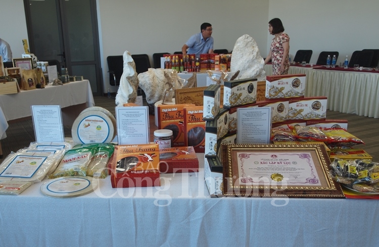 da nang 14 san pham dat san pham cong nghiep nong thon tieu bieu nam 2019