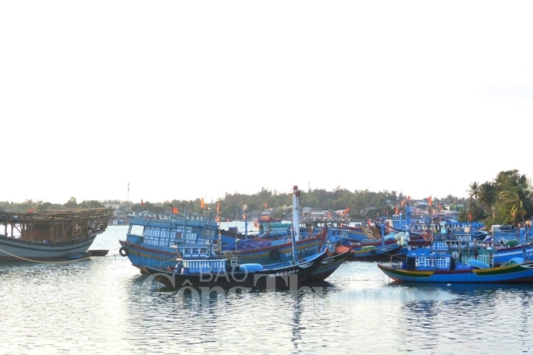 Khai thác hợp lý, phát triển nguồn lợi thủy sản bền vững là yêu cầu cấp thiết đối với ASEAN khai thac hop ly phat trien nguon loi thuy san ben vung la yeu cau cap thiet doi voi asean