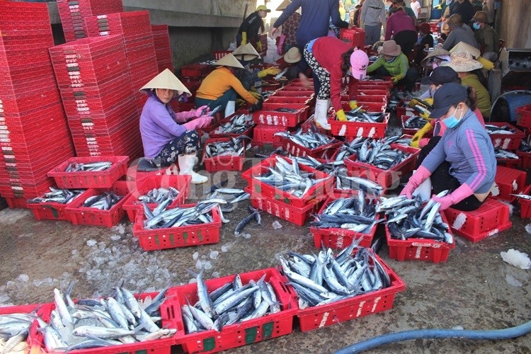Khai thác hợp lý, phát triển nguồn lợi thủy sản bền vững là yêu cầu cấp thiết đối với ASEAN khai thac hop ly phat trien nguon loi thuy san ben vung la yeu cau cap thiet doi voi asean