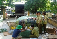 Quản lý thị trường Quảng Nam: Kiểm soát có hiệu quả an toàn thực phẩm