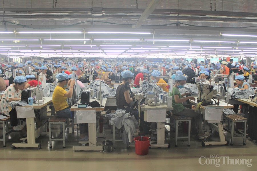Cần sự vào cuộc đồng bộ để dệt may không bỏ lỡ cơ hội từ EVFTA can su vao cuoc dong bo de det may khong bo lo co hoi tu evfta