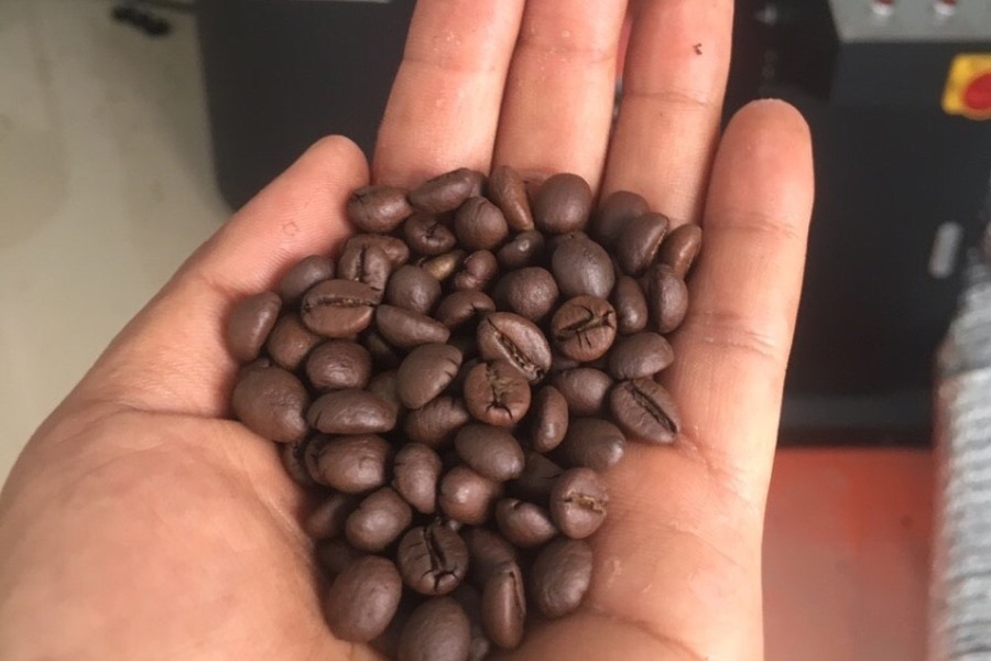 chu trong dau tu cong nghe che bien sau nang cao suc canh tranh cho nong san