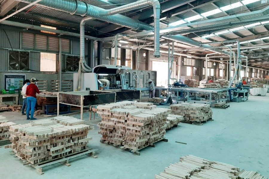 Bài 2: Doanh nghiệp “chung tay” để trồng rừng có chứng chỉ bai 2 doanh nghiep chung tay de trong rung co chung chi