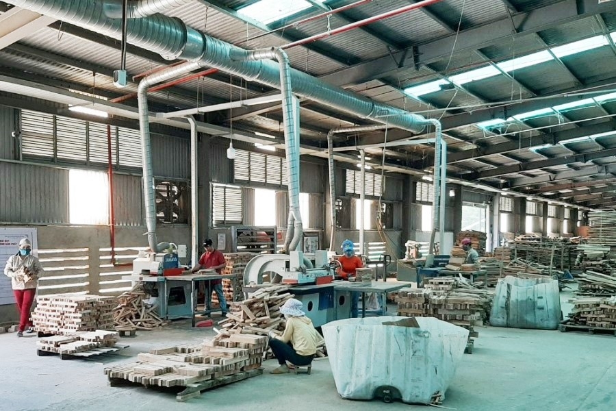 bai 1 the manh ve lam nghiep nhung nganh go luon thieu nguyen lieu vi sao