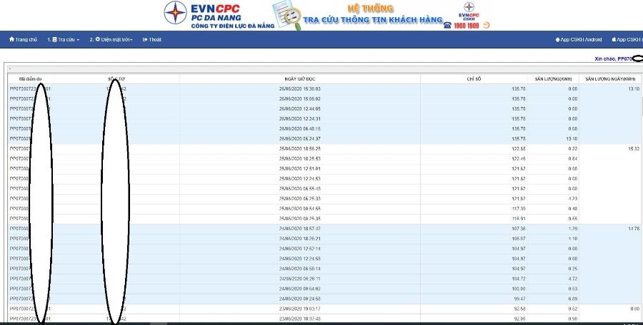 da nang 100 khach hang co the trao cuu chi so dien su dung 2424