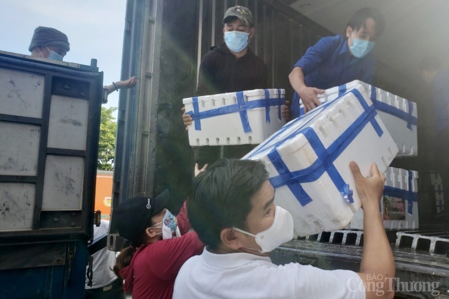 Đà Nẵng: Chung tay hỗ trợ tiêu thụ vải thiều cho nông dân Bắc Giang, Hải Dương Đà Nẵng: Chung tay hỗ trợ tiêu thụ vải thiều cho nông dân Bắc Giang, Hải Dương