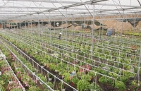 6 tháng, xử lý hơn 2.500 vụ vi phạm về đảm bảo chất lượng, an toàn thực phẩm