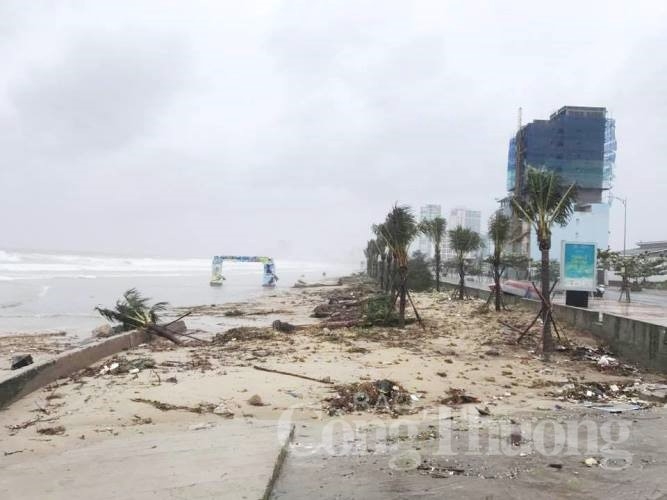 facebook ho tro tp da nang nang cao nang luc so va ung pho thien tai