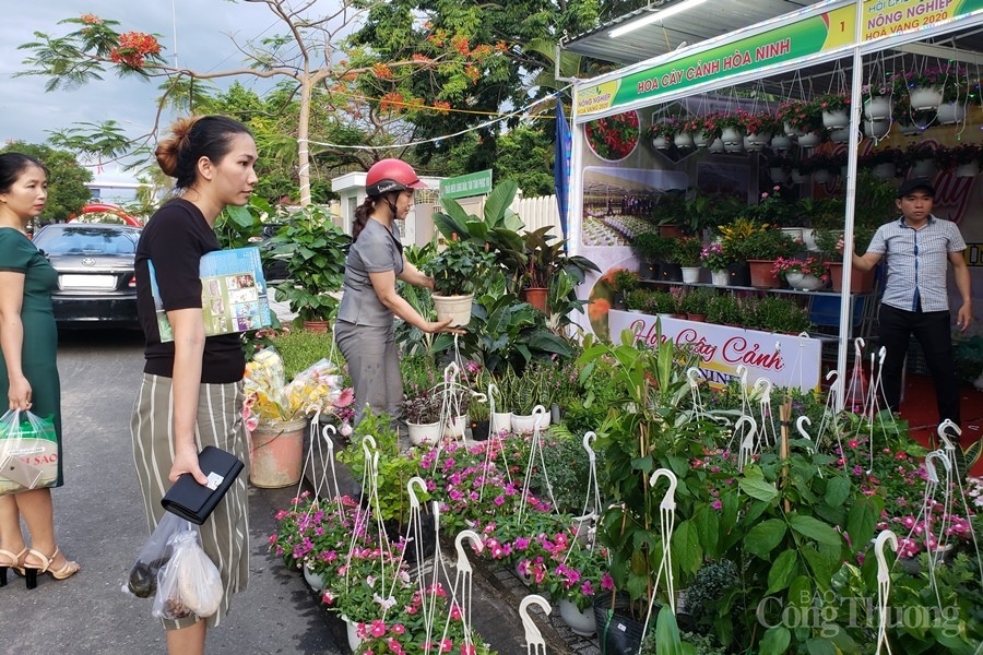 Đà Nẵng: Khai mạc hội chợ nông sản Hòa Vang 2020 da nang khai mac hoi cho nong san hoa vang 2020