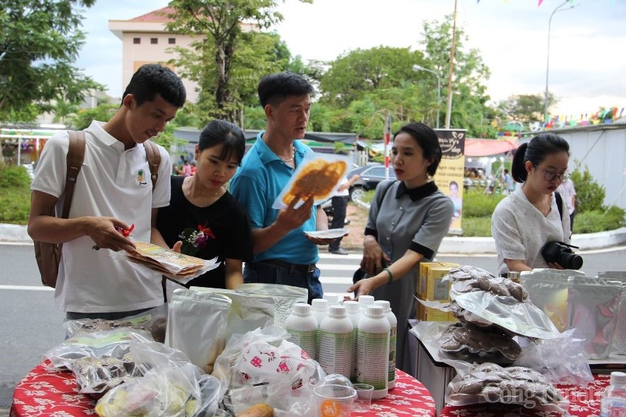 Đà Nẵng: Khai mạc hội chợ nông sản Hòa Vang 2020 da nang khai mac hoi cho nong san hoa vang 2020