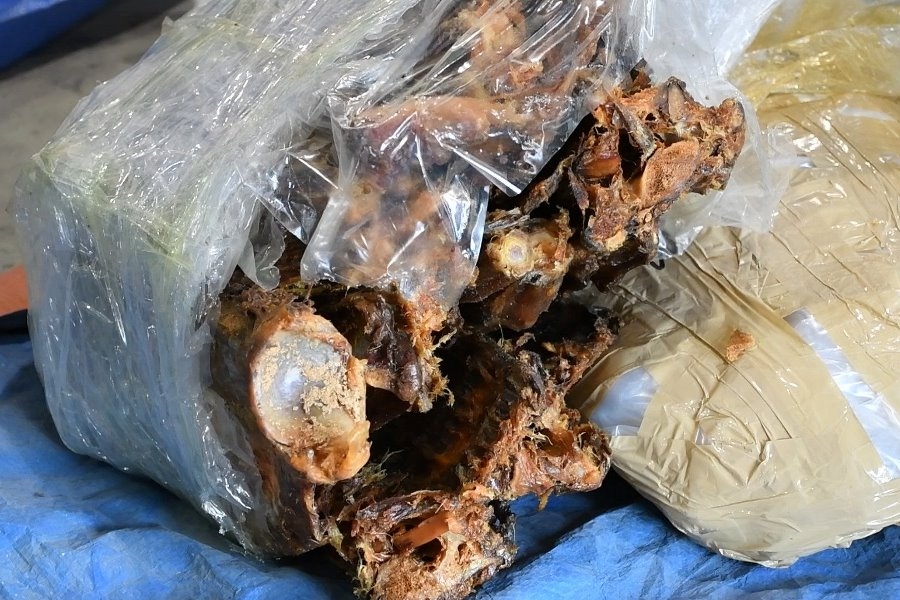 Đà Nẵng: Tạm giữ lô hàng nghi là sừng tê giác, xương động vật hoang dã