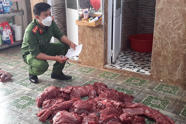 Đắk Nông: Để nghị truy tố người làm “thịt nai gác bếp” từ heo nái