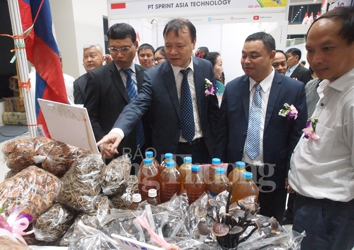 Thúc đẩy thương mại, du lịch và đầu tư hành lang kinh tế Đông Tây – Đà Nẵng 2019 thuc day thuong mai du lich va dau tu hanh lang kinh te dong tay da nang 2019