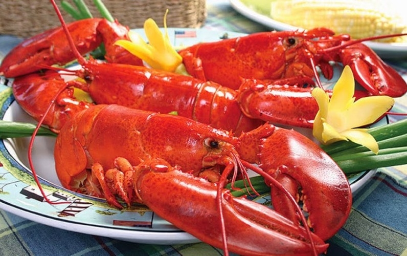 Nông sản của Canada có cạnh tranh với hàng Việt khi CPTPP xóa bỏ thuế suất? cptpp xoa bo thue suat nam 2020 nong san va hai san canada du kien se do bo vao viet nam