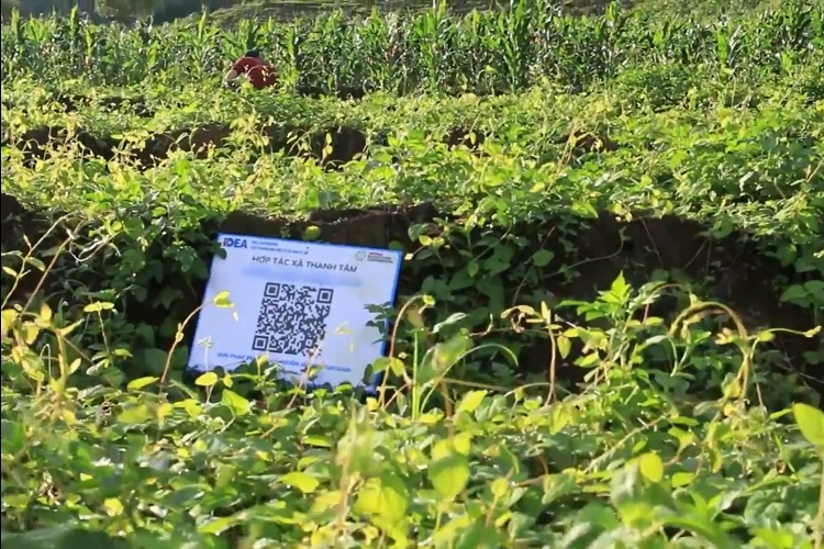 doanh nghiep con tran tro ve blockchain trong truy xuat nguon goc san pham