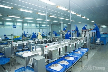 Đà Nẵng: Doanh nghiệp sản xuất vừa chống dịch vừa phát triển kinh tế