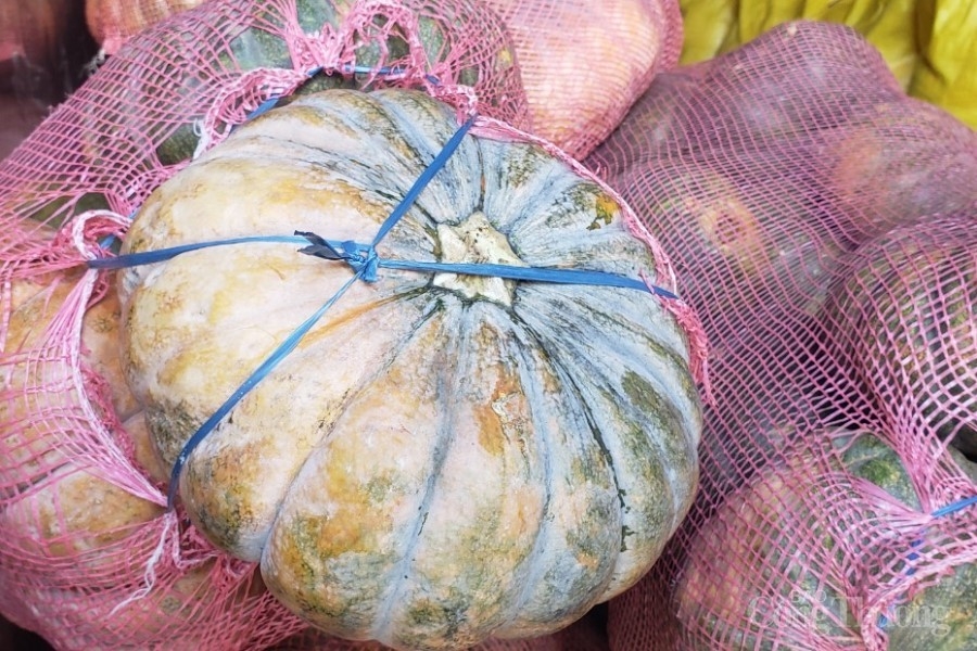 Đà Nẵng: Chung sức cung ứng thực phẩm cho người dân