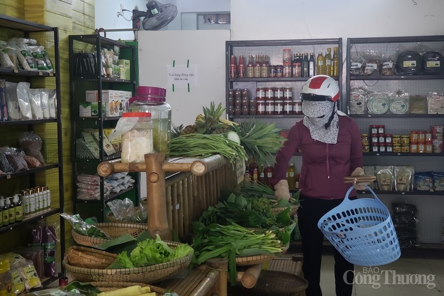 Đà Nẵng: Hợp tác xã “sống khỏe” nhờ sản xuất sạch và liên kết tiêu thụ Đà Nẵng: Hợp tác xã “sống khỏe” nhờ sản xuất sạch và liên kết tiêu thụ