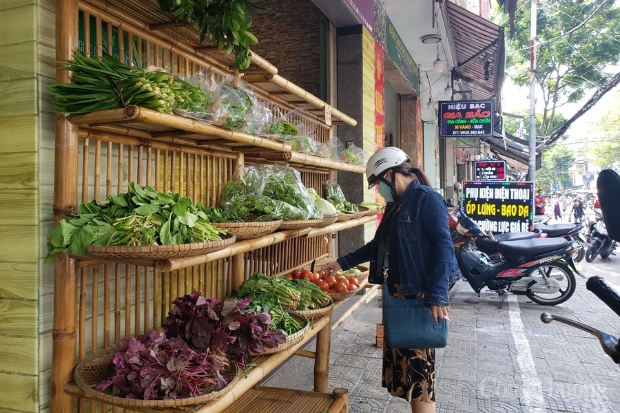 Đà Nẵng: Hợp tác xã “sống khỏe” nhờ sản xuất sạch và liên kết tiêu thụ Đà Nẵng: Hợp tác xã “sống khỏe” nhờ sản xuất sạch và liên kết tiêu thụ