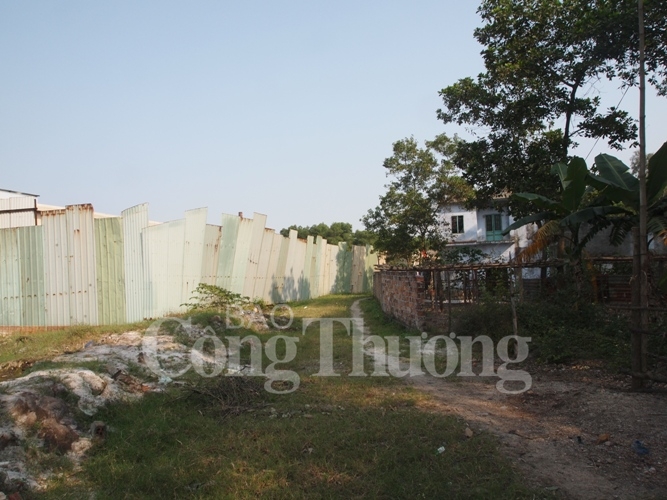 da nang 2 nha may thep bi xu phat 114 ty dong dinh chi hoat dong 6 thang