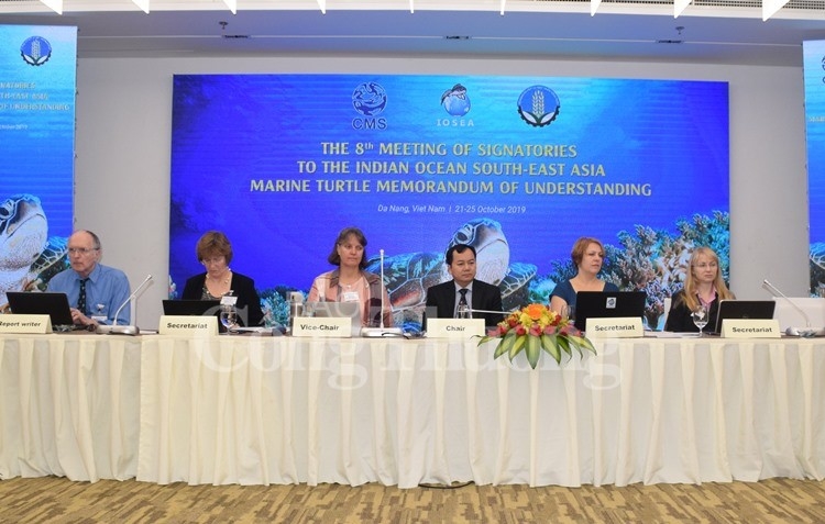 Đề xuất đưa Vườn quốc gia Côn Đảo trở thành thành viên Mạng lưới các khu bảo tồn rùa biển IOSEA de xuat dua vuon quoc gia con dao tro thanh thanh vien mang luoi cac khu bao ton rua bien iosea